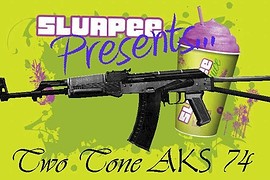 Two Tone AKS-74