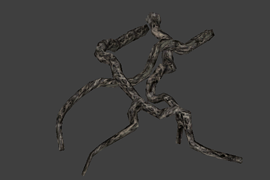l18_road_root04