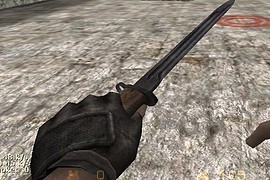 Bayonet