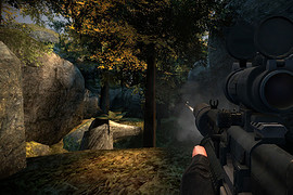 Firearms: Source