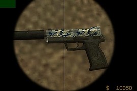 Usp Sky Camo