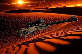 Black AWP W Laser
