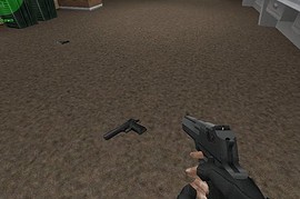 Hav0c s Desert Eagle