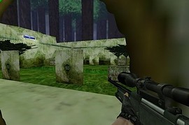 aim_hkger_awescout