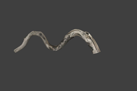 tree_08