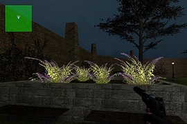 xc_paris