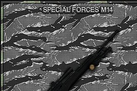 Special_Forces_M14