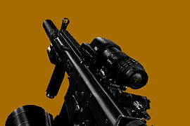 PrivateCollection - Tactical SCAR-L