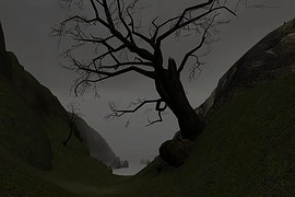 Dear Esther
