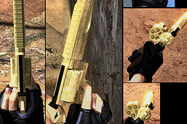 RE5 Cerberus Weapon Pack