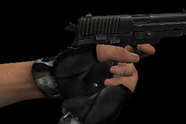 CSS Sig Sauer P228
