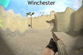 cz armed winchester