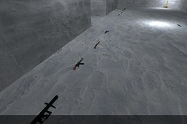 dod_iceworld_110