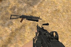 Bizon