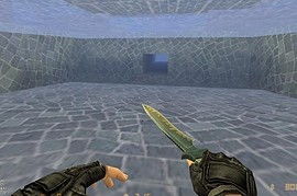 de_pool_day