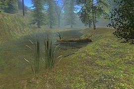 gm_forest2008
