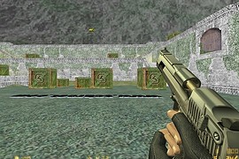 Vashts1985 s Deagle on CZ Default Anims