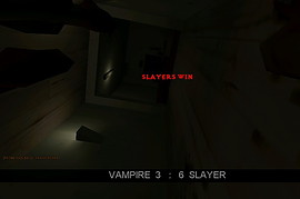 Vampire Slayer