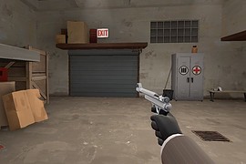 Tranquilizer Gun