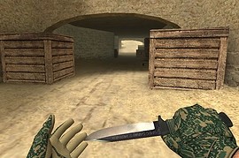 CamoGlovePack