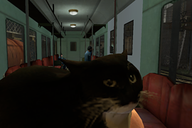 Maxwell the carryable cat — кот компаньон