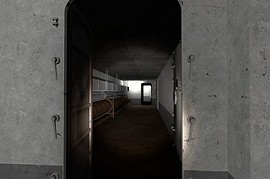 dm_borealis_v2