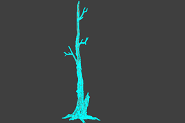 !tree_02big