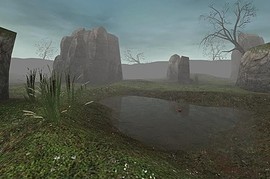 dm_swamp