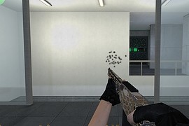 Custom Mossberg Shotgun