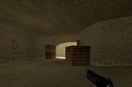 ThatGuy's Two Toned Desert Eagle