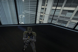 Raiden