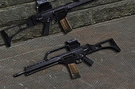 G36