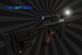 Psg1 awp scope