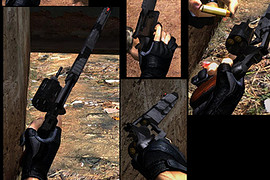 RE5 Cerberus Weapon Pack