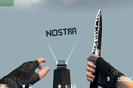 Counter_Strike_Knife