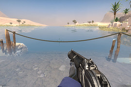 Shotgun