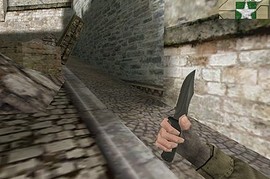 SOG_M37_Seal_Pup