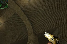Phonged Two Tone Gold Deagle