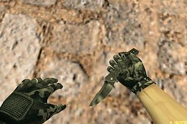 CAMO CZ Arms