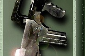 Timittytim s Sharpshooter Famas