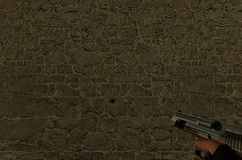 Deagle Wood Handle