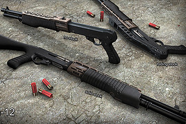 Pete s SPAS-12 (CZ ver.)