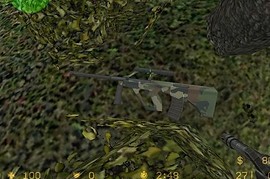 Ergue Woodland AUG Camo