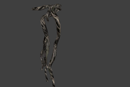 l18_road_root01