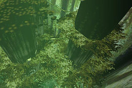 kz_5trees