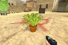 Pot Plant C4