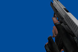 Sig Pro 2009