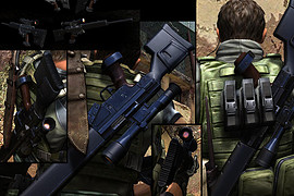 RE5 Cerberus Weapon Pack