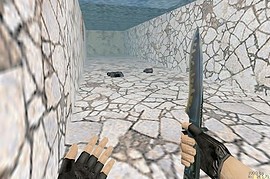 100hpftw_(cs_1.6)
