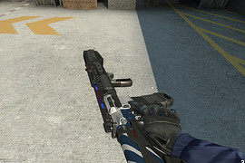 M16A2 Police